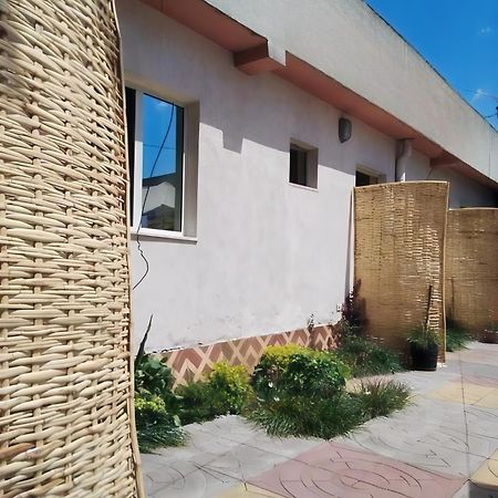 Wib Guesthouse 亚的斯亚贝巴 外观 照片