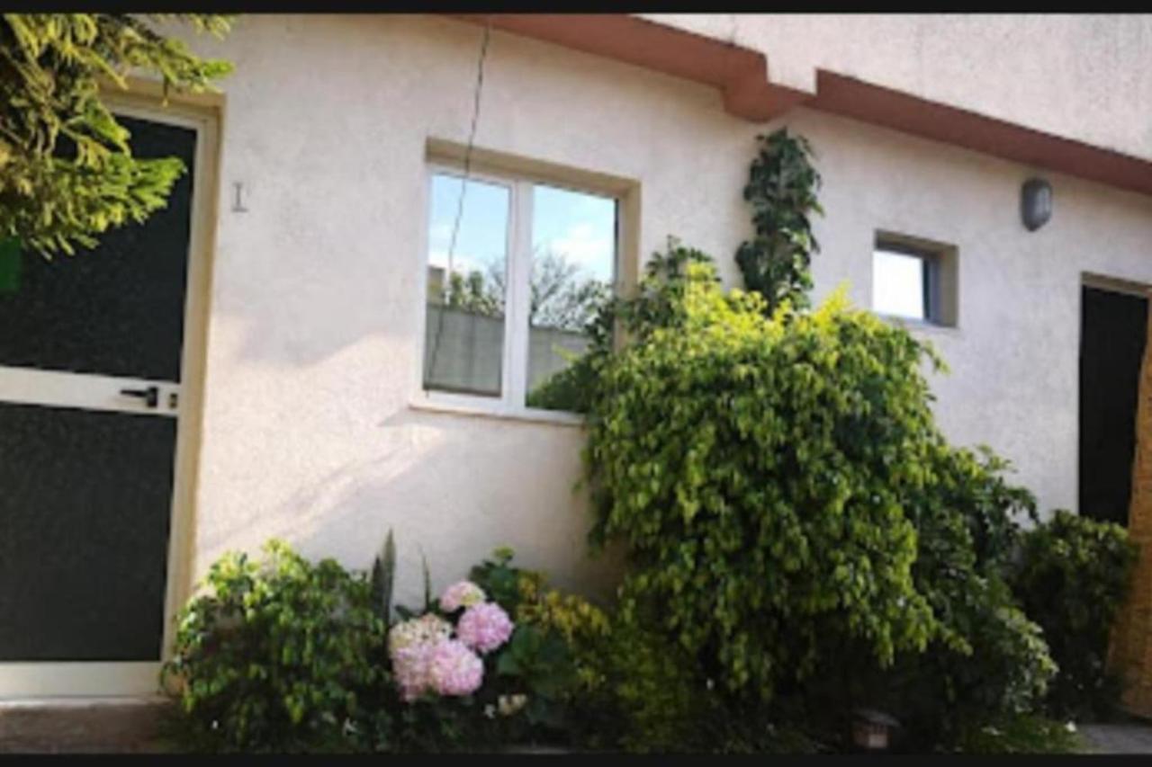 Wib Guesthouse 亚的斯亚贝巴 外观 照片