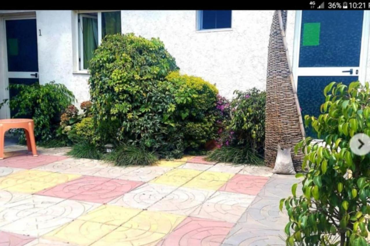 Wib Guesthouse 亚的斯亚贝巴 外观 照片